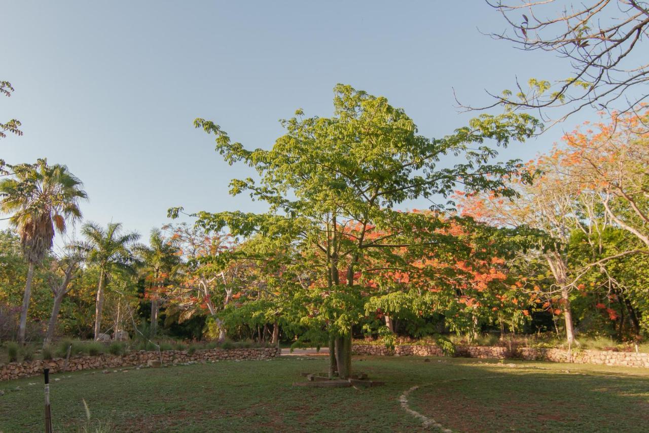 Hacienda Shambalante Bed & Breakfast Izamal Luaran gambar